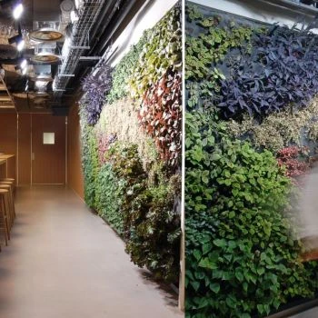 Porro - Office Building – Paris (France)