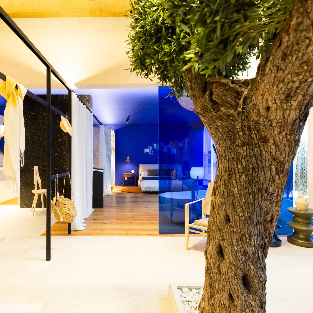 Porro, image:contract_immagini - Porro Spa - Showroom Antic Colonial - Vila-Real, Castellon (西班牙)