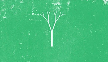 Porro - Porro values in the digital storytelling by Sfelab: environmental and social sustainability