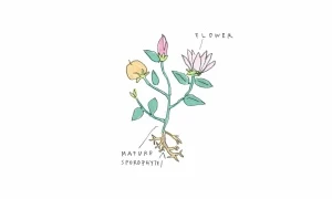 Porro, image:news_immagini - Porro Spa - Porro values in the digital storytelling by Sfelab: environmental and social sustainability