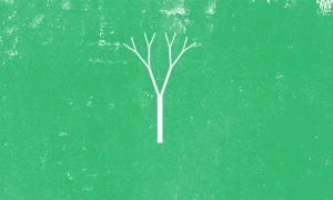 Porro, image:news_immagini - Porro Spa - Porro values in the digital storytelling by Sfelab: environmental and social sustainability