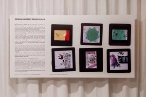 Porro, image:news_immagini - Porro Spa - Porro @ Graye Los Angeles_PH-Julia-Kigar