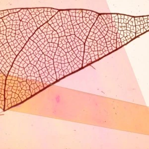 Porro, image:news_immagini - Porro Spa - Porro @ Graye Los Angeles_Frame by Sfelab