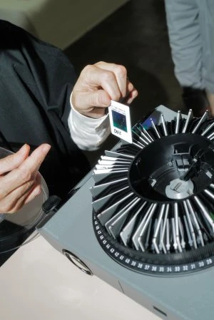 Porro, image:news_immagini - Porro Spa - Porro and Graye finissage - Los Angeles_PH Jester Jungco